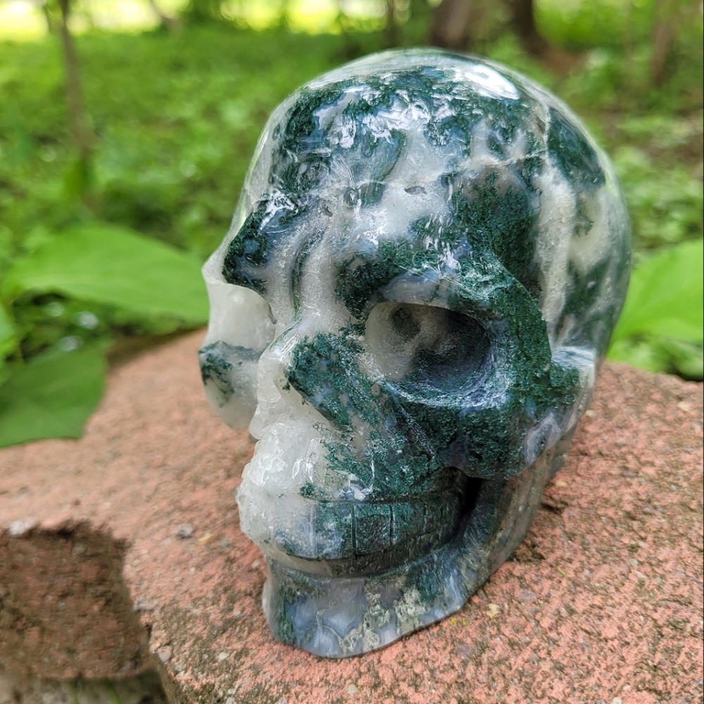 🌿 DRUZY Moss Agate Skull 💀